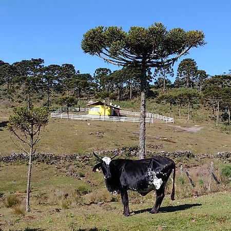 Casa E Cabana De Campo Fazenda Borba Urubici Kültér fotó