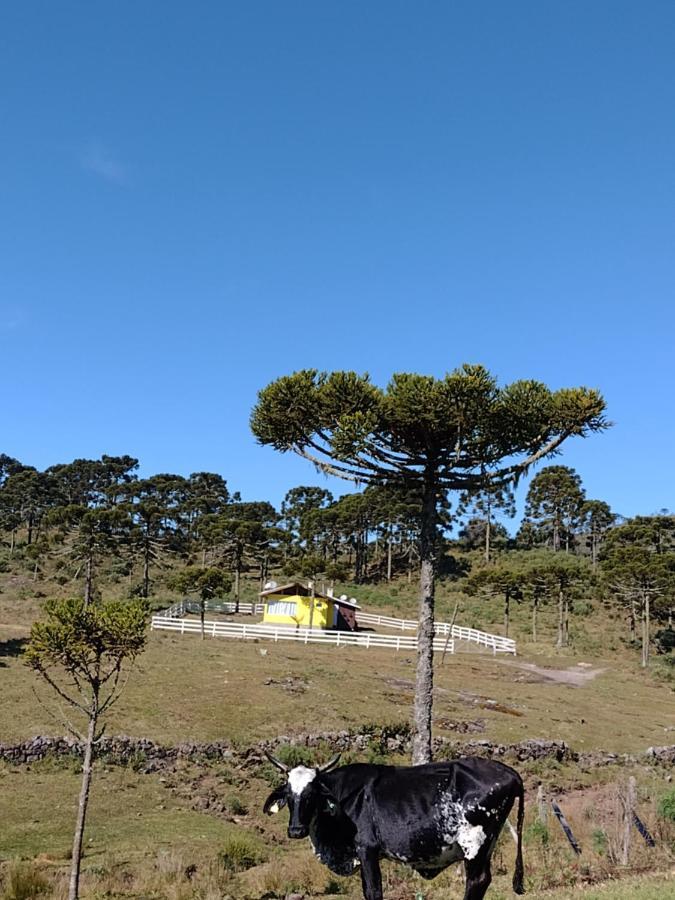 Casa E Cabana De Campo Fazenda Borba Urubici Kültér fotó