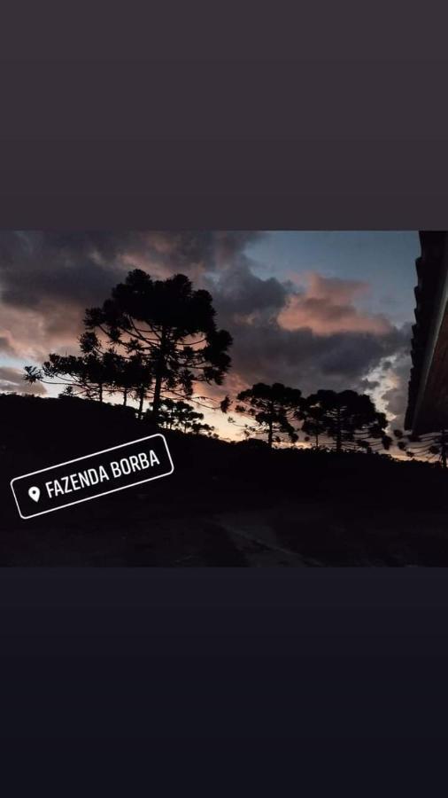 Casa E Cabana De Campo Fazenda Borba Urubici Kültér fotó