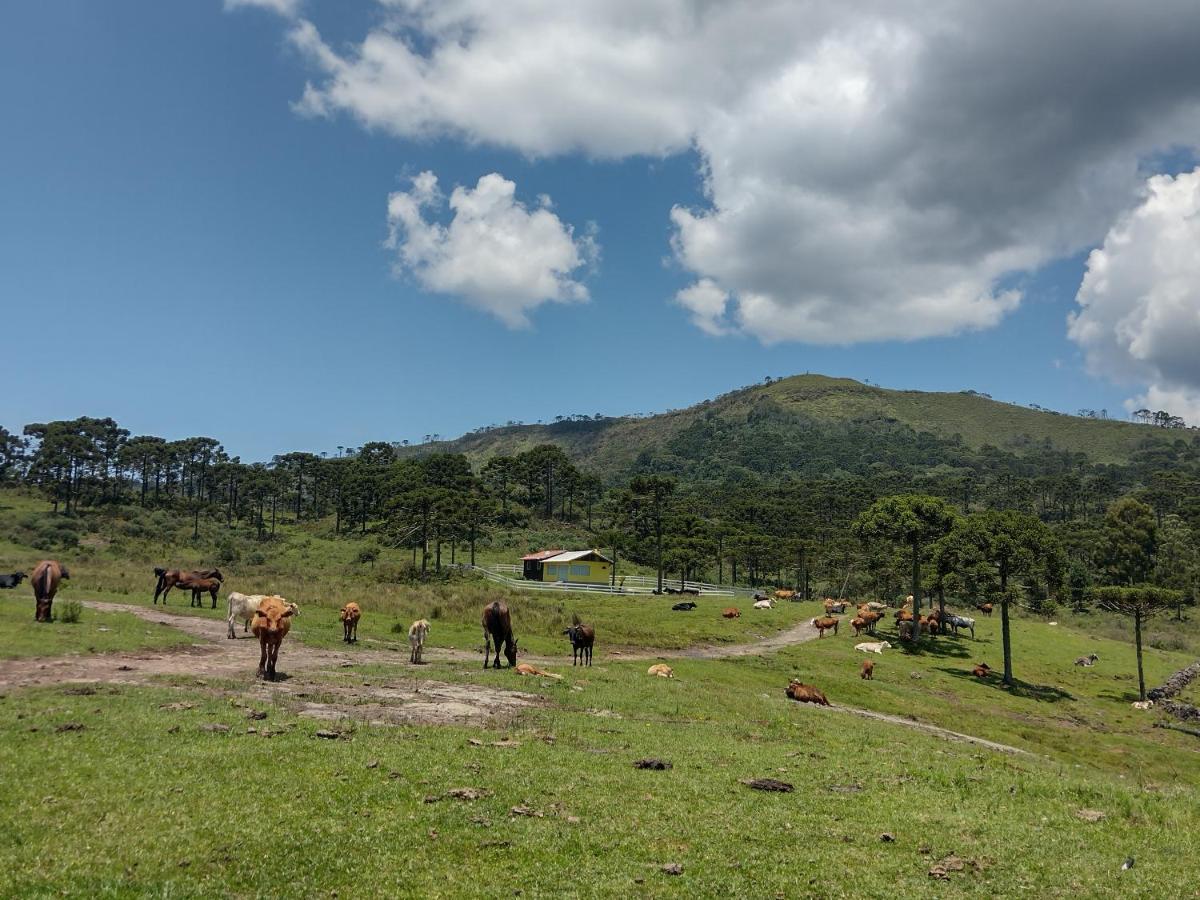 Casa E Cabana De Campo Fazenda Borba Urubici Kültér fotó