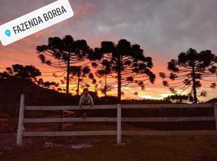 Casa E Cabana De Campo Fazenda Borba Urubici Kültér fotó