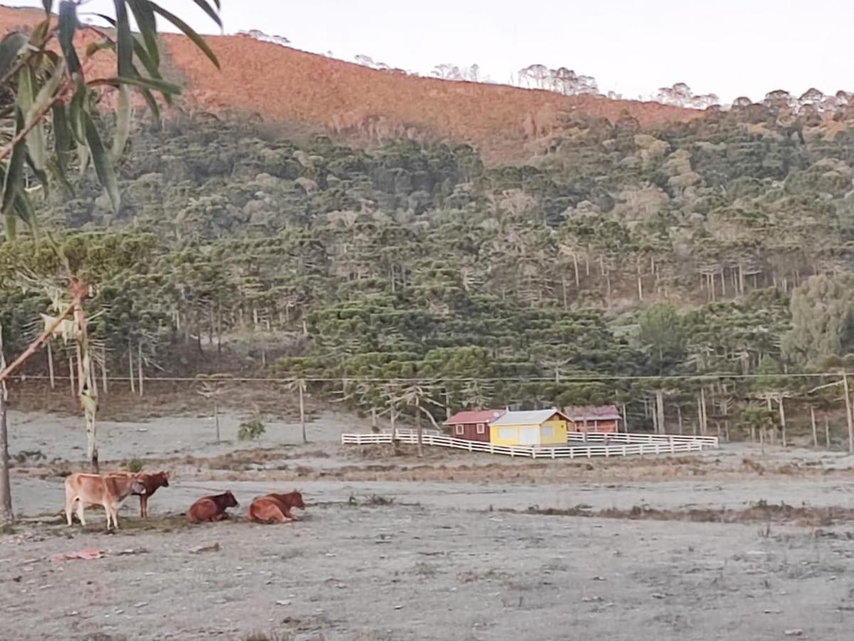 Casa E Cabana De Campo Fazenda Borba Urubici Kültér fotó