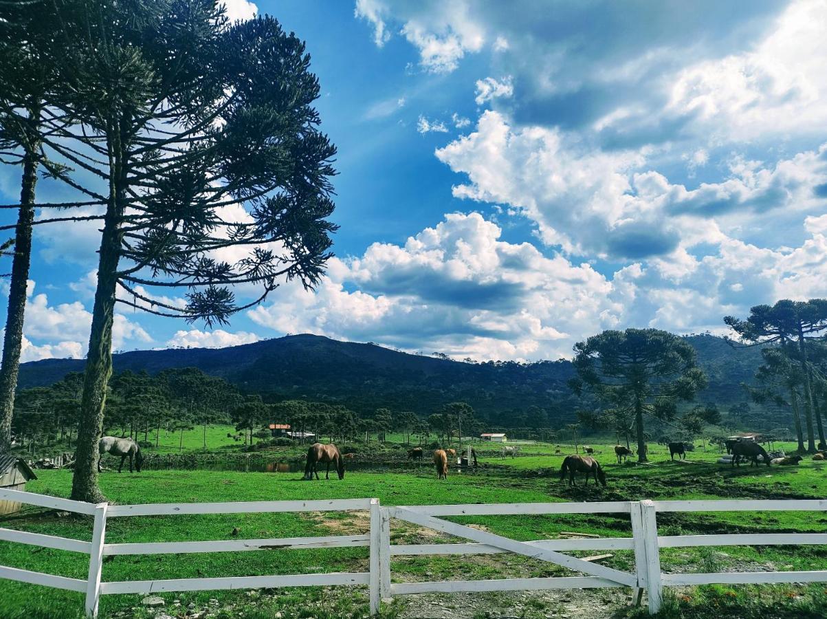 Casa E Cabana De Campo Fazenda Borba Urubici Kültér fotó