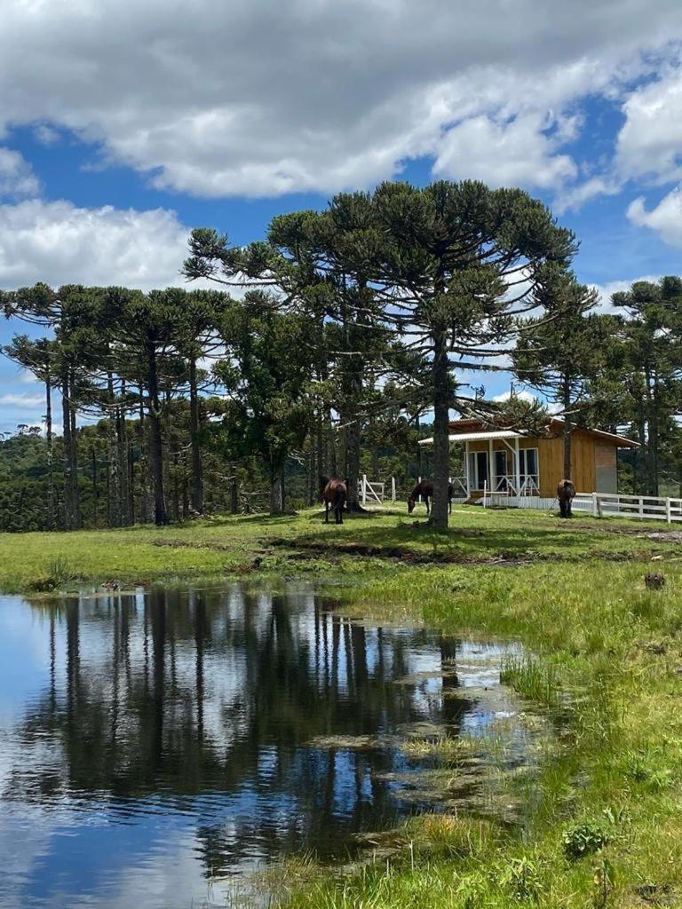 Casa E Cabana De Campo Fazenda Borba Urubici Kültér fotó