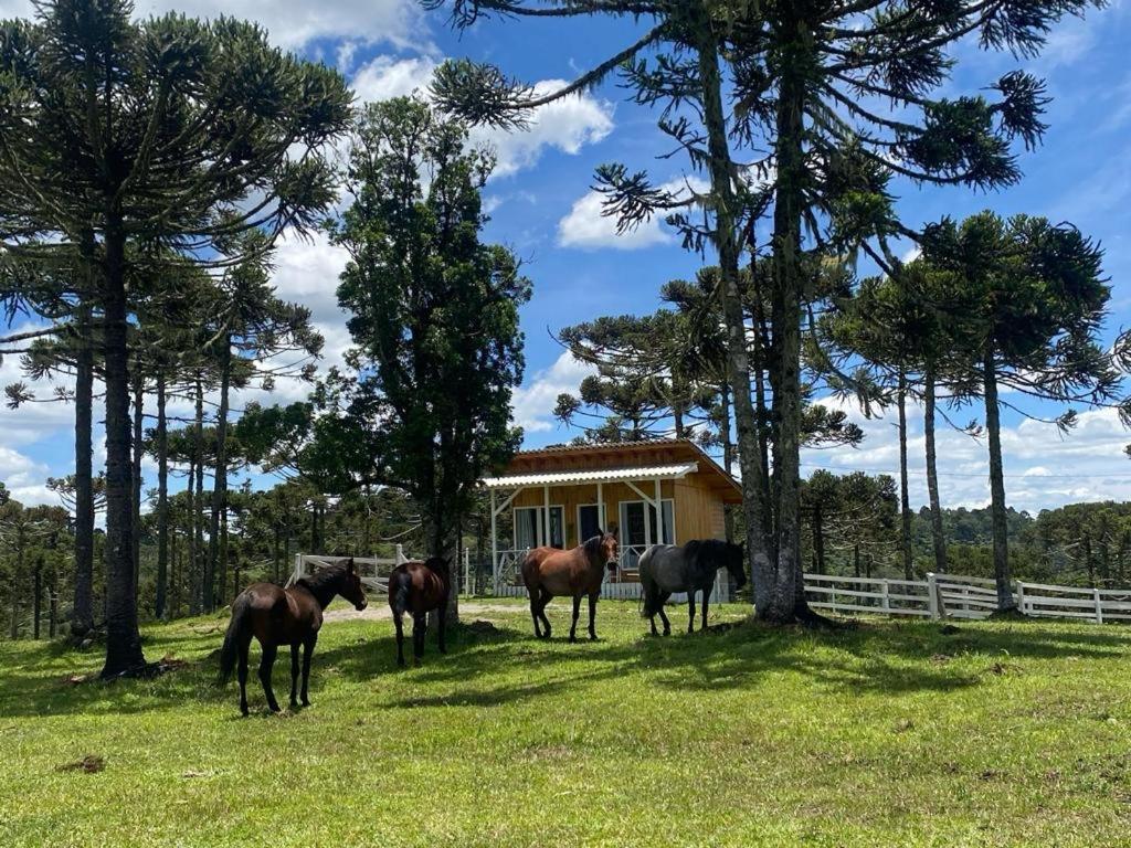 Casa E Cabana De Campo Fazenda Borba Urubici Kültér fotó