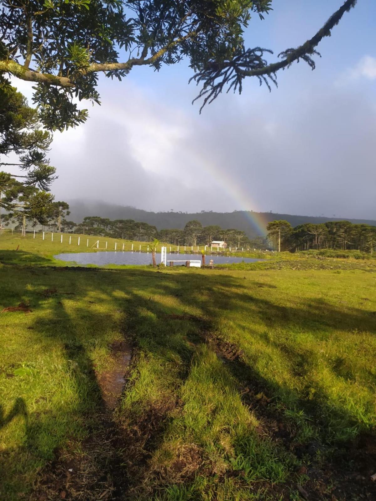 Casa E Cabana De Campo Fazenda Borba Urubici Szoba fotó