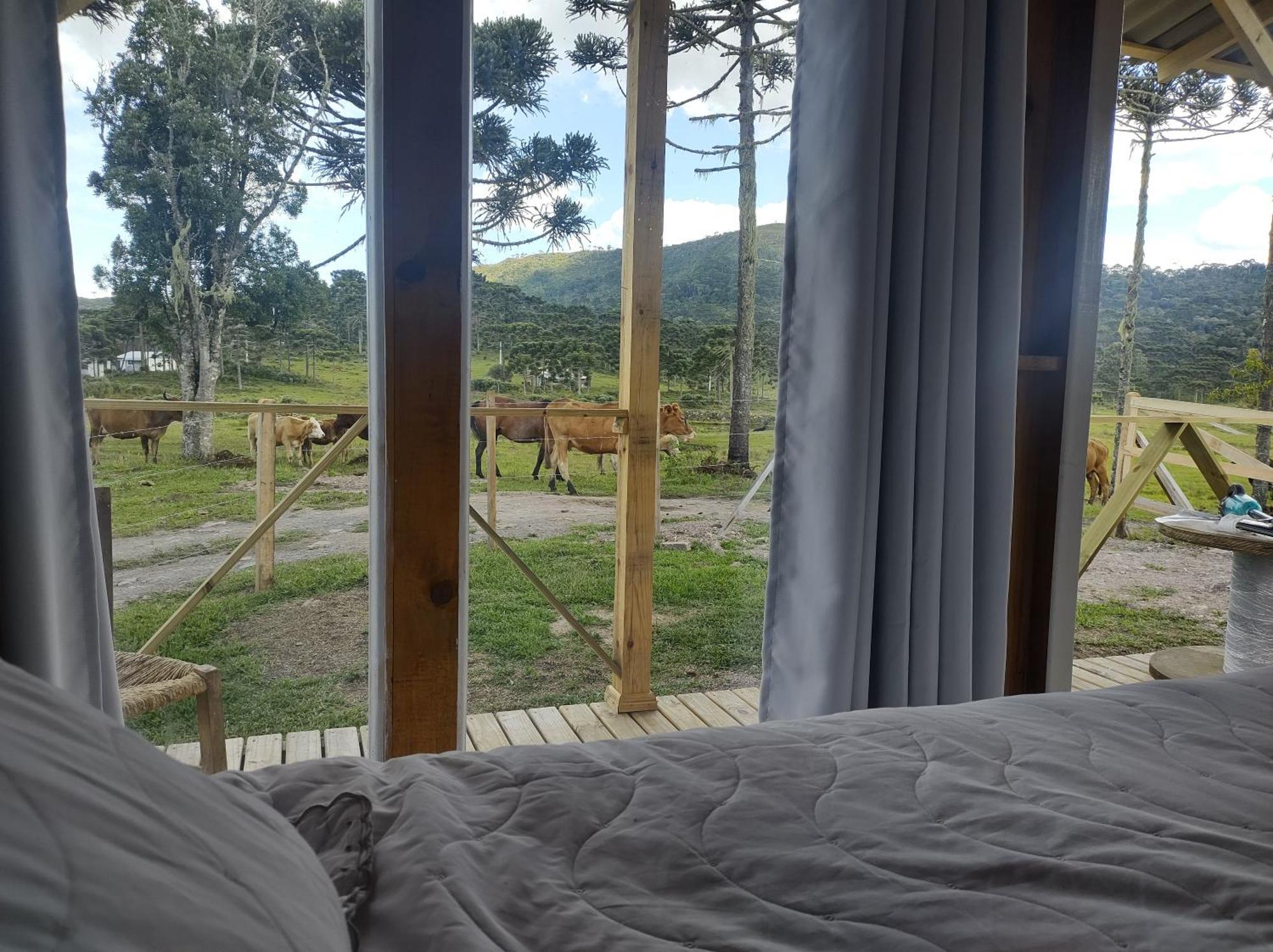 Casa E Cabana De Campo Fazenda Borba Urubici Szoba fotó