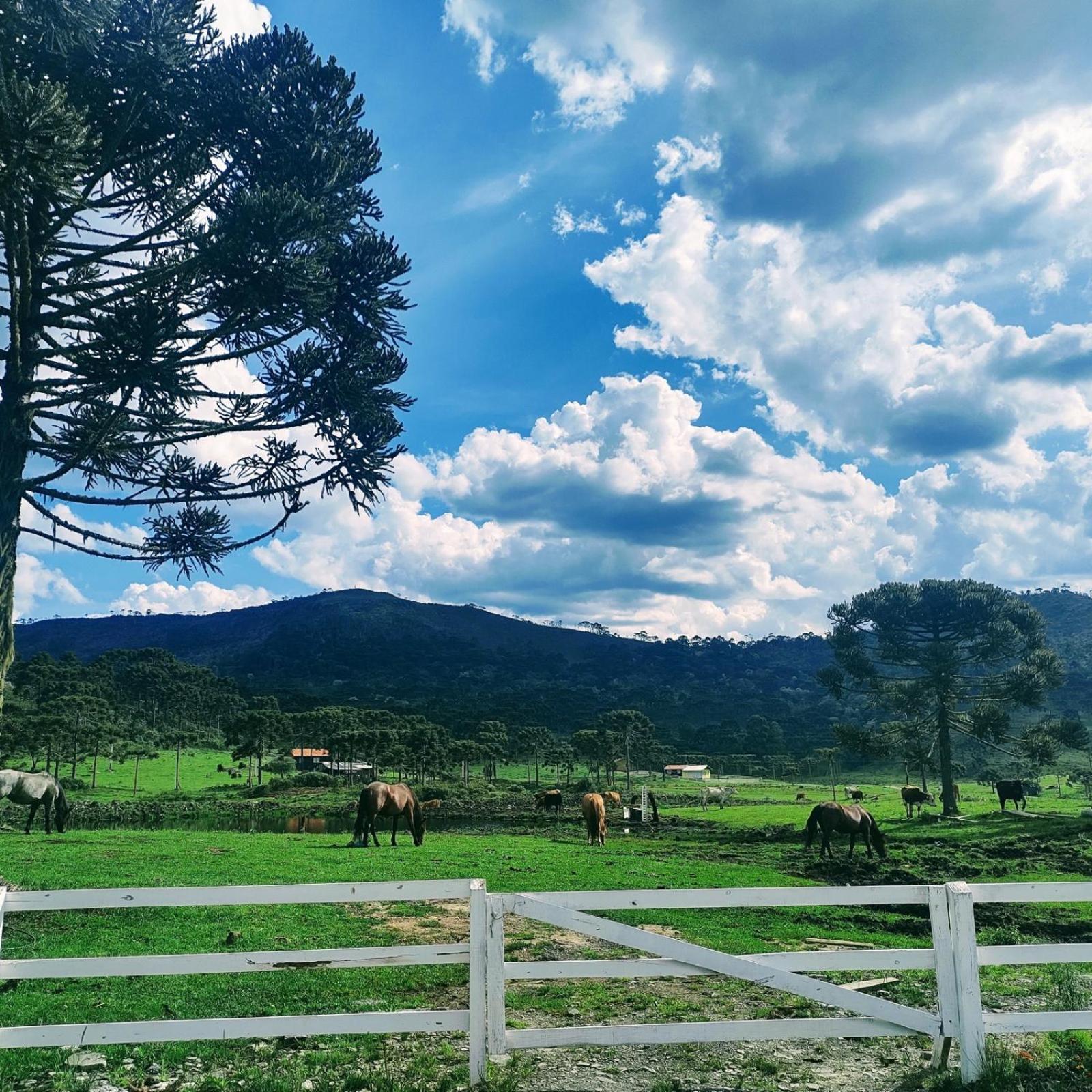 Casa E Cabana De Campo Fazenda Borba Urubici Kültér fotó
