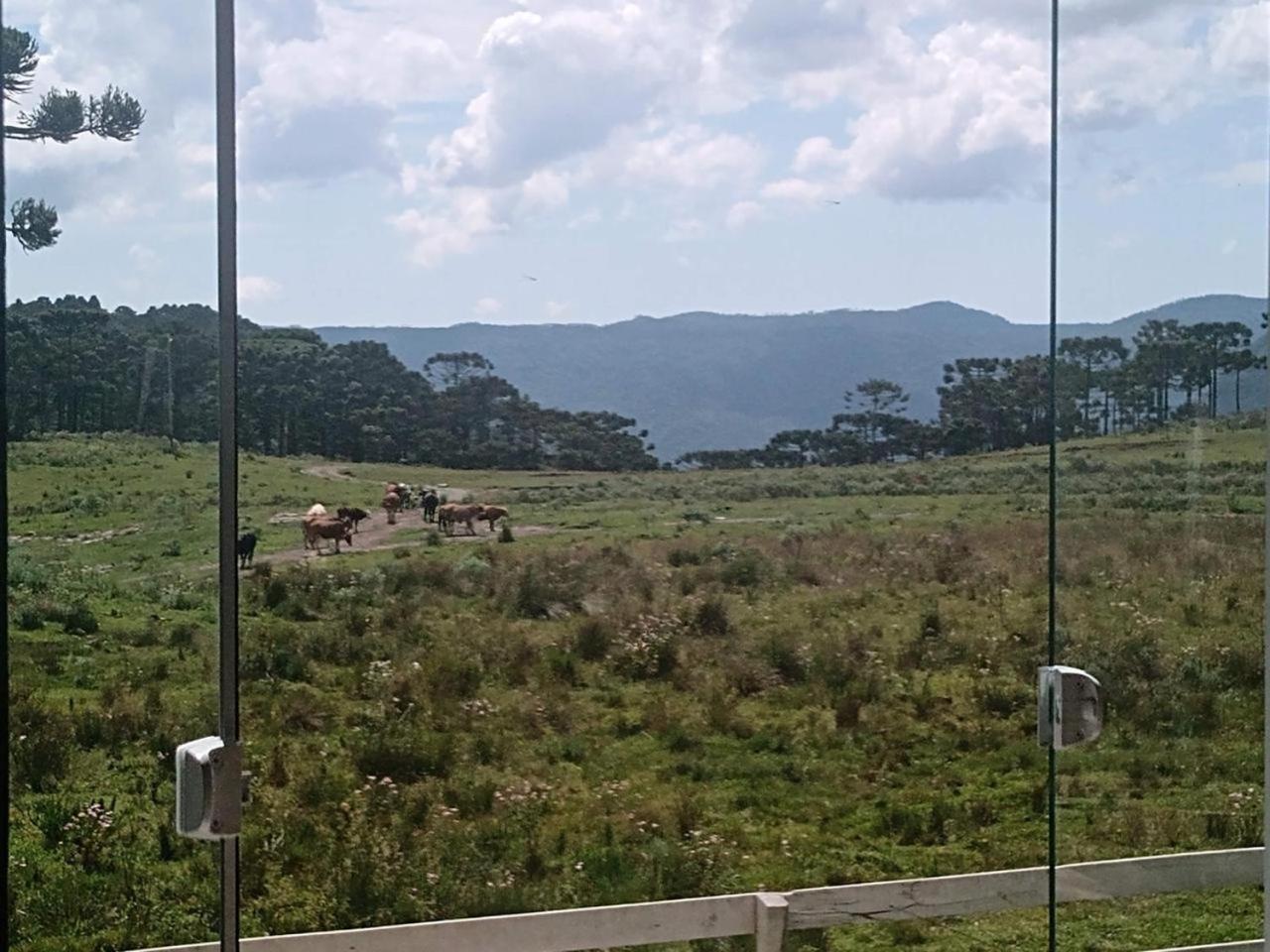 Casa E Cabana De Campo Fazenda Borba Urubici Kültér fotó