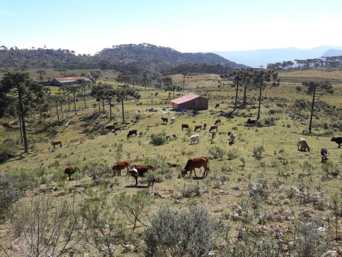 Casa E Cabana De Campo Fazenda Borba Urubici Kültér fotó